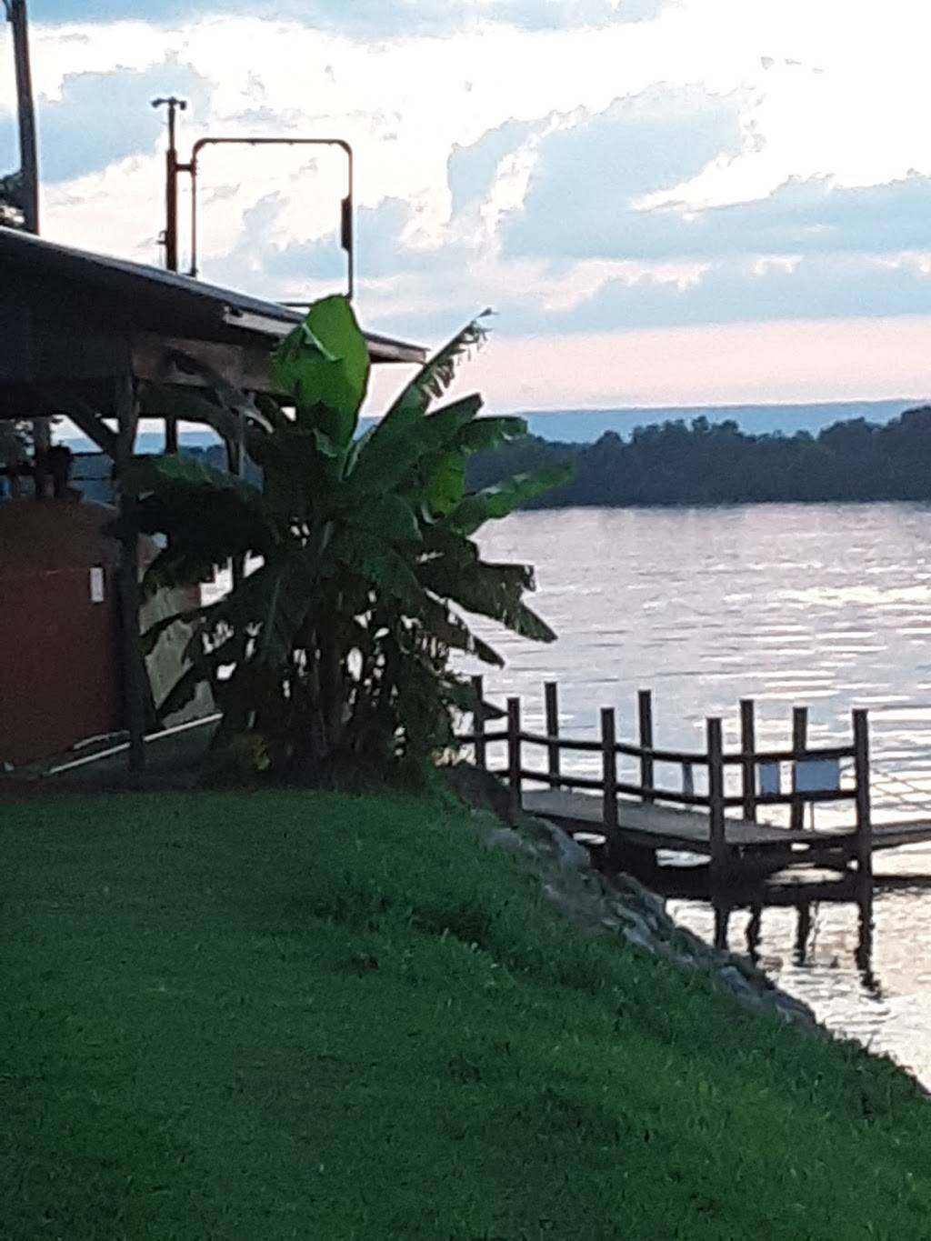 Cottonport Marina Restaurant | restaurant | Decatur, TN 37322, USA | 4234544110 OR +1 423-454-4110