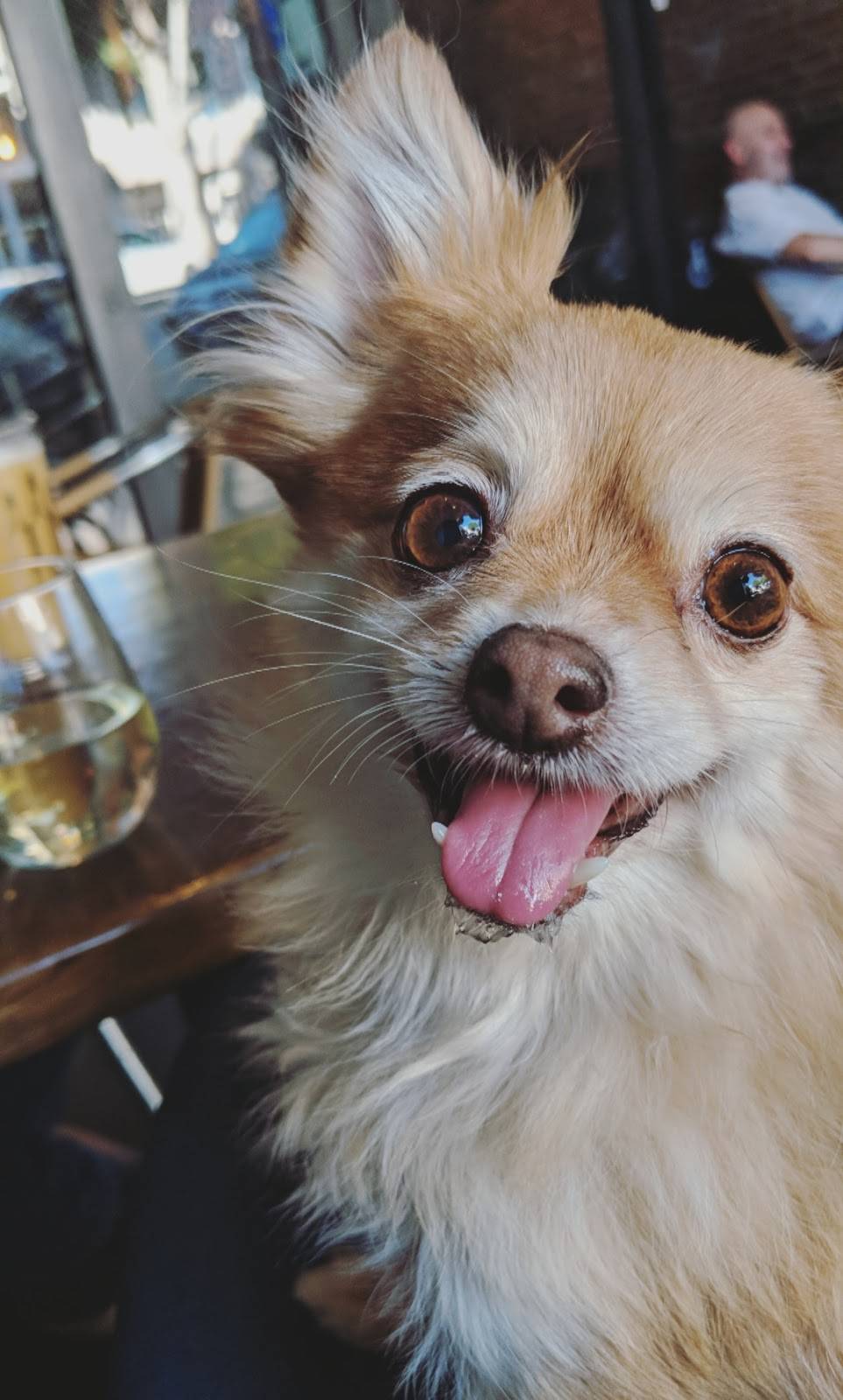 The Bottle Room | restaurant | 6741 Greenleaf Ave, Whittier, CA 90601, USA | 5626968000 OR +1 562-696-8000