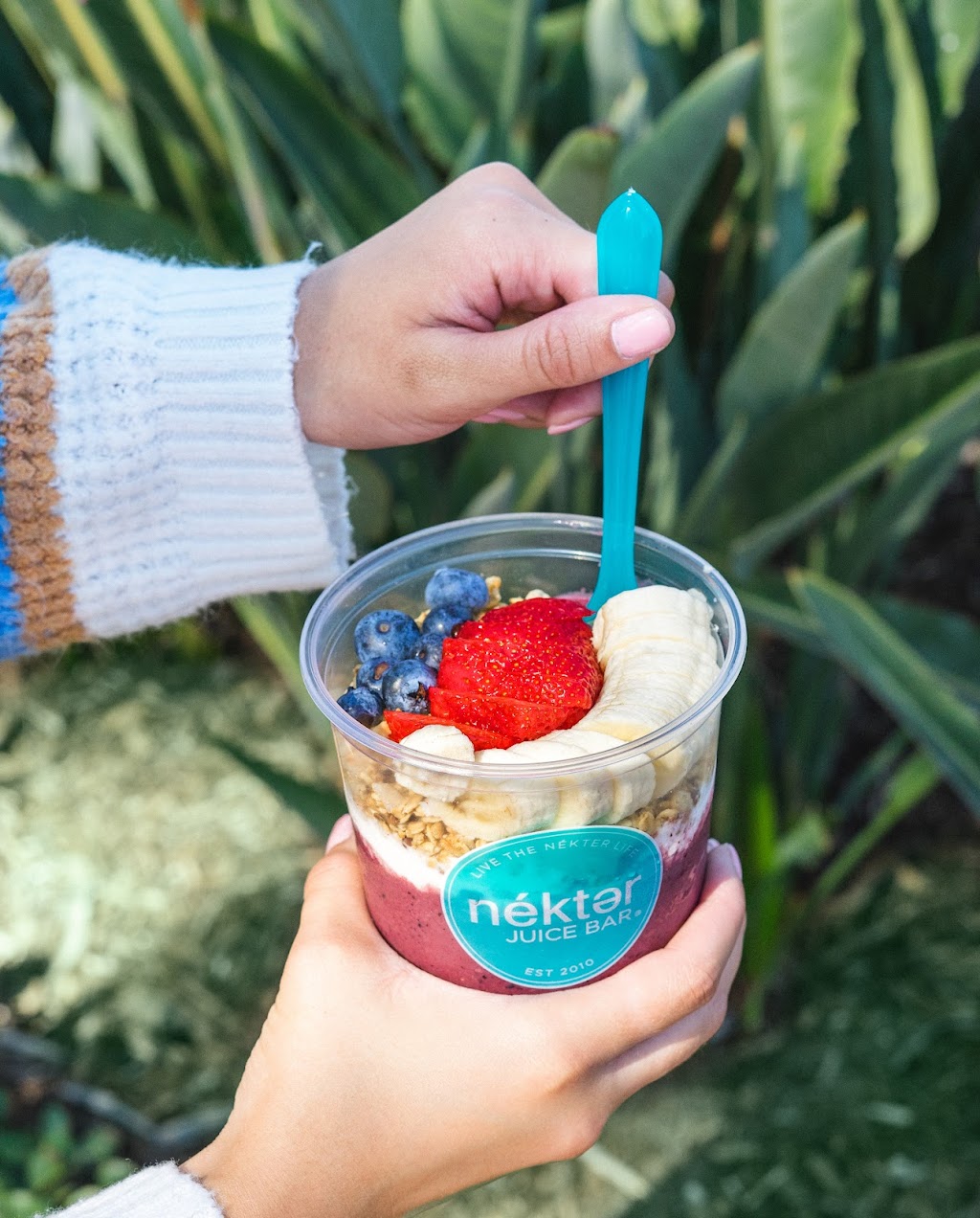 Nekter Juice Bar | cafe | 5694 Mission Center Rd Unit 604, San Diego, CA 92108, USA | 6192720777 OR +1 619-272-0777