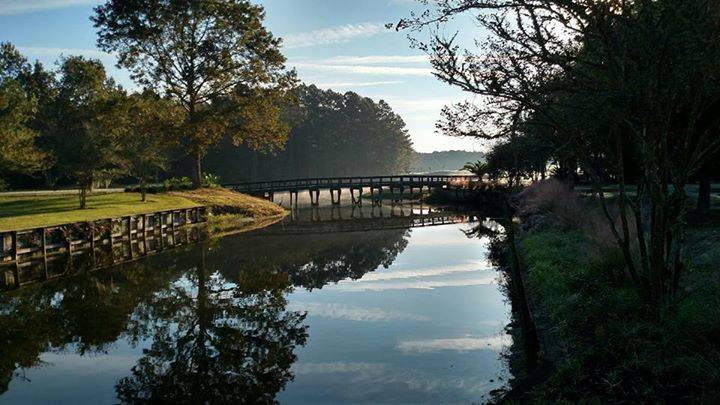 Cimarrone Golf Club | restaurant | 2800 Cimarrone Blvd, Jacksonville, FL 32259, USA | 9042872000 OR +1 904-287-2000