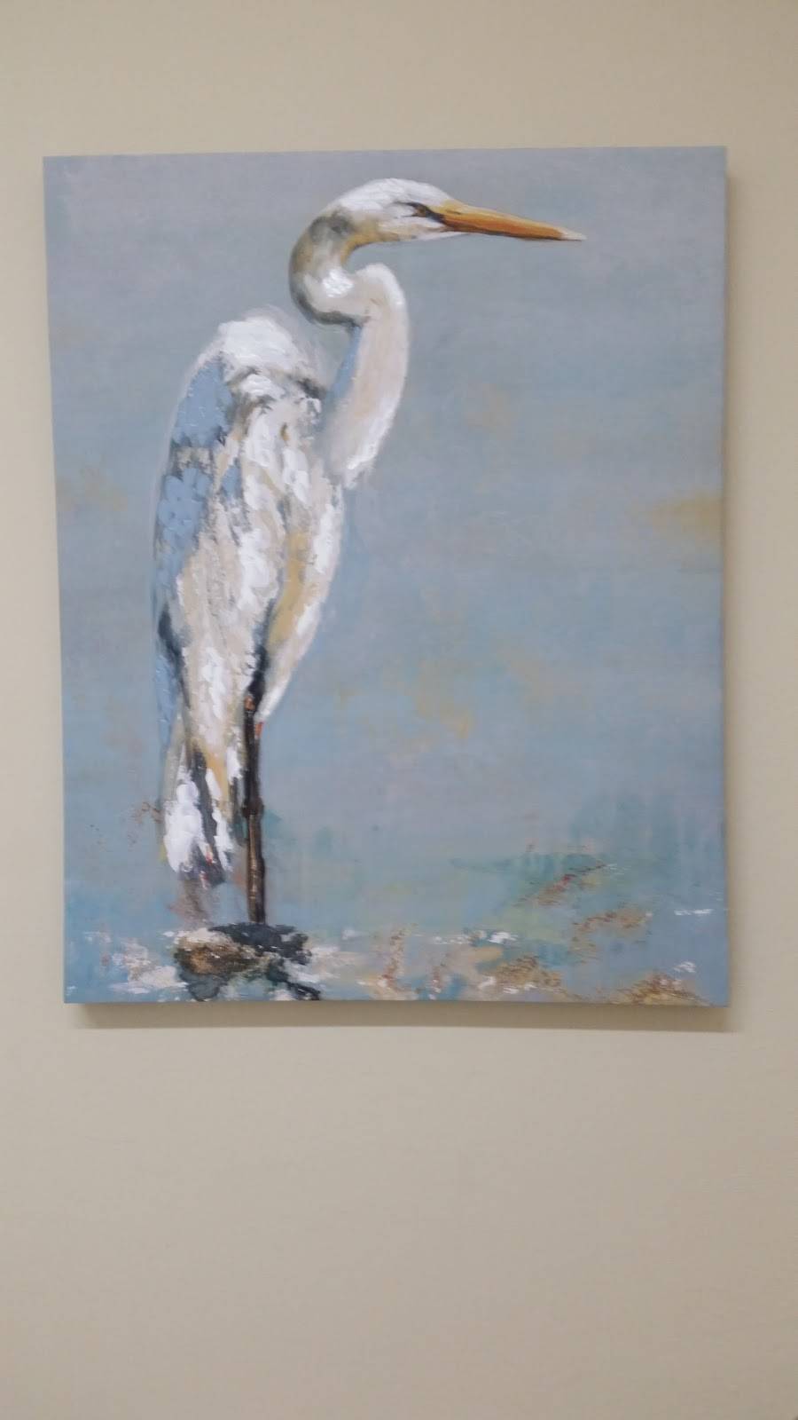 Captiva Pizza Yogurt & Gift | restaurant | 11513 Andy Rosse Lane, Captiva, FL 33924, USA | 2393950797 OR +1 239-395-0797