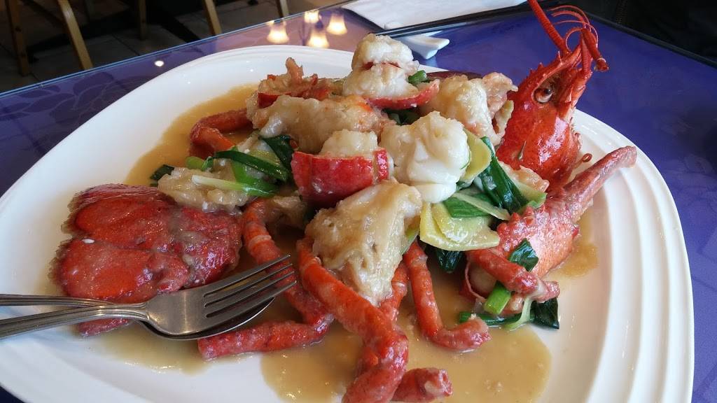 Golden Dynasty Restaurant | restaurant | 175 West Ave, Kitchener, ON N2G 1R9, Canada | 5199548878 OR +1 519-954-8878