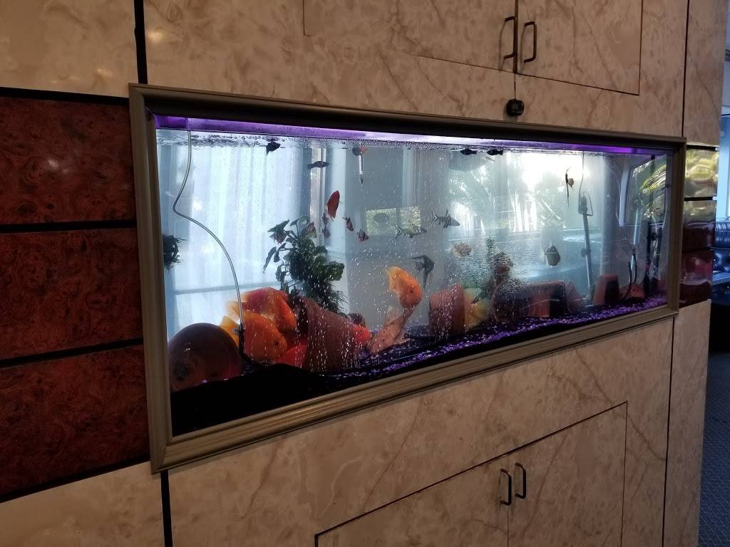 Panda Garden | restaurant | 4101 Atlantic Ave, Long Beach, CA 90807, USA | 5624909583 OR +1 562-490-9583