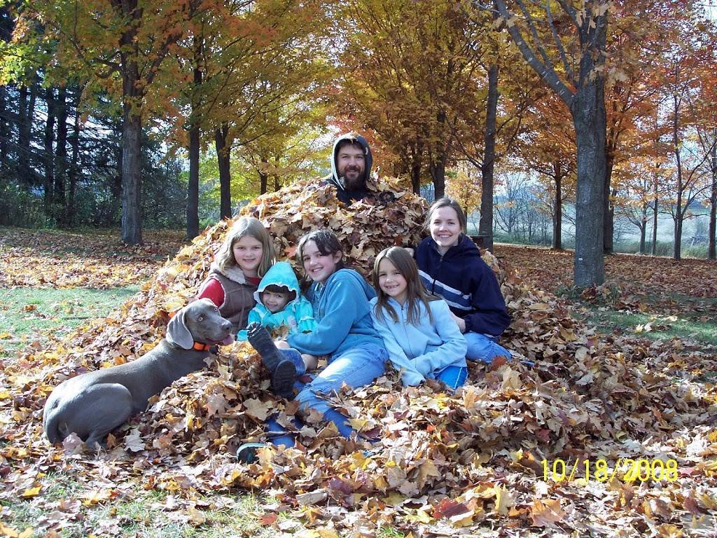 Skinny Sticks Maple Syrup | restaurant | 260 E 21st St, Marathon City, WI 54448, USA | 7154433564 OR +1 715-443-3564