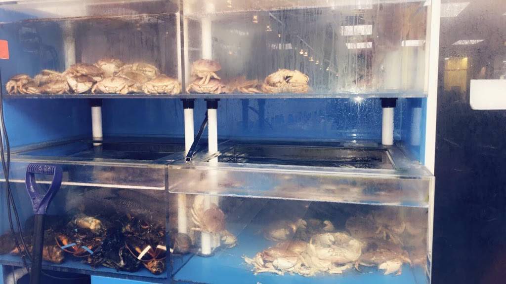 Fresh Fish Market | restaurant | 169-13 Jamaica Ave, Jamaica, NY 11432, USA | 3476549605 OR +1 347-654-9605