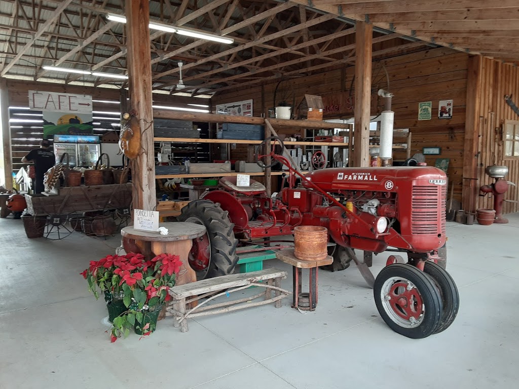 31 Produce/Cracker Shack Cafe | restaurant | 18672 FL-31, Alva, FL 33920, USA | 2393138213 OR +1 239-313-8213