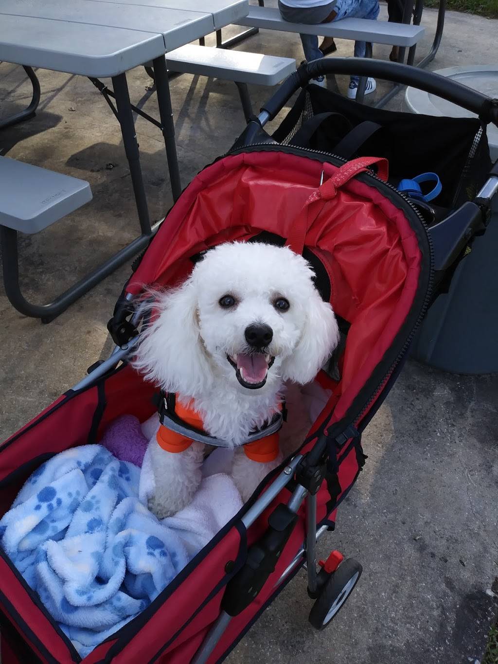 McDonalds | cafe | 7409 E Colonial Dr, Orlando, FL 32807, USA | 4072816606 OR +1 407-281-6606