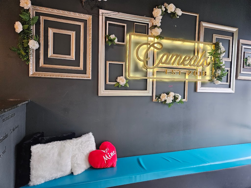 Cameals Cuisine | restaurant | 4018 Athens Hwy Suite 220, Loganville, GA 30052, USA | 7706760940 OR +1 770-676-0940