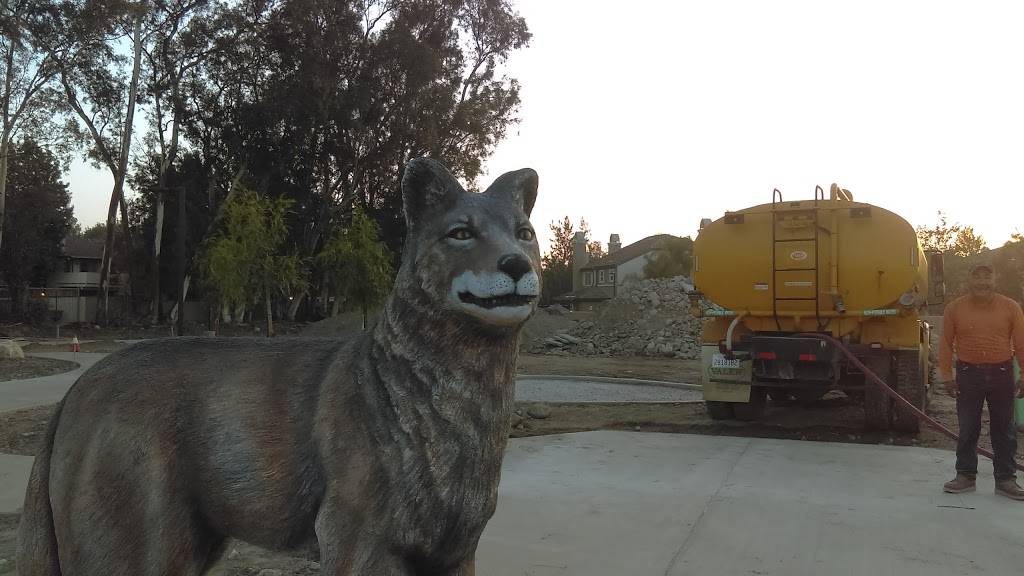 C & C Organization | restaurant | 8651 Madrone Ave, Rancho Cucamonga, CA 91730, USA | 9099815771 OR +1 909-981-5771