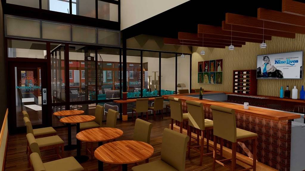 Purrfect Day Cat Cafe | restaurant | 1741 Bardstown Rd, Louisville, KY 40205, USA | 5029165051 OR +1 502-916-5051