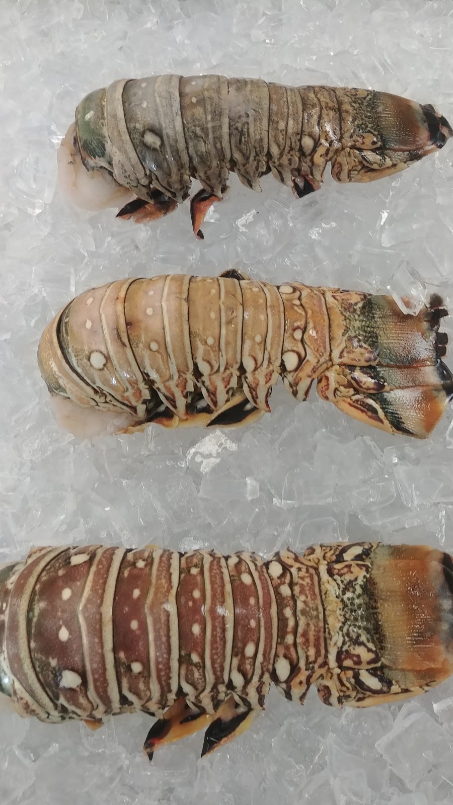 Gandy Seafood Cajun Market Murfreesboro | restaurant | 2445 Memorial Blvd D, Murfreesboro, TN 37129, USA | 6159566590 OR +1 615-956-6590