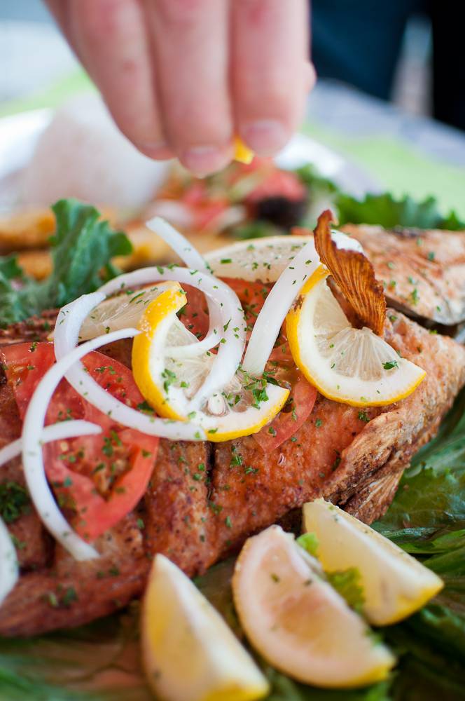 El Balcon de las Americas Latin Food - Deerfield Beach | bakery | 246 S Powerline Rd, Deerfield Beach, FL 33442, USA | 9544209522 OR +1 954-420-9522