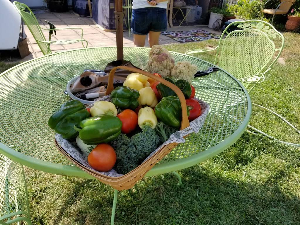 Fiesta Grande Flat Rock | restaurant | 27003 Telegraph Rd, Flat Rock, MI 48134, USA | 7347899655 OR +1 734-789-9655