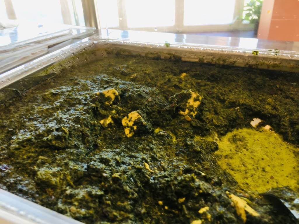 Bharati | restaurant | 1560 Wisconsin Ave NW, Washington, DC 20007, USA | 2025252266 OR +1 202-525-2266