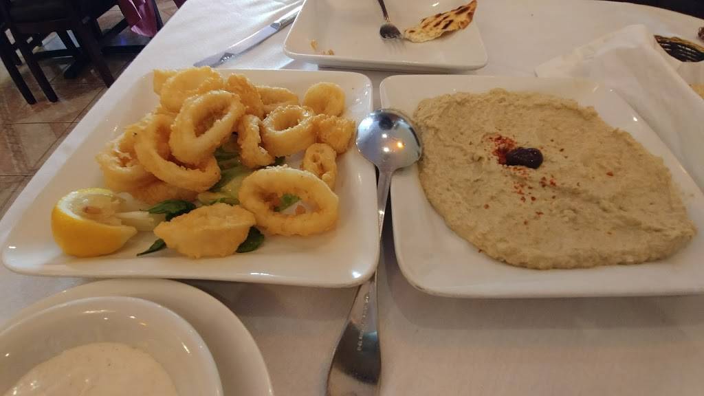 Kebab House | restaurant | 255-05 Northern Blvd, Little Neck, NY 11362, USA | 7182255318 OR +1 718-225-5318