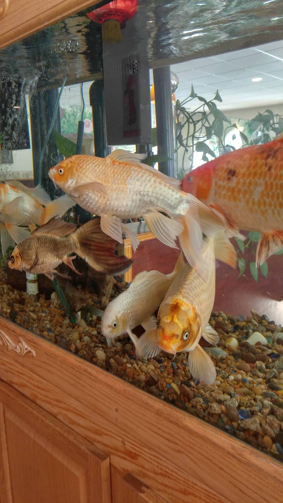 Wontons Chinese Restaurant | restaurant | 4774 White Mountain Hwy, Sanbornville, NH 03872, USA | 6035228885 OR +1 603-522-8885