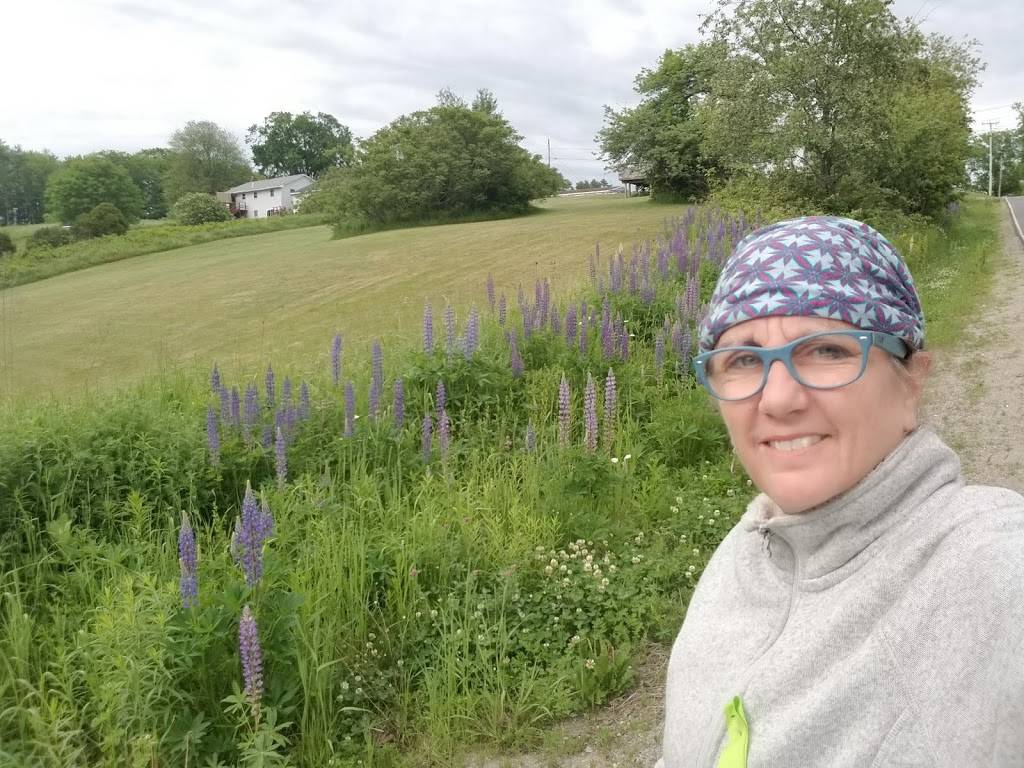 Ships Chow Hall | restaurant | 277 Bath Rd, Wiscasset, ME 04578, USA | 2078825530 OR +1 207-882-5530