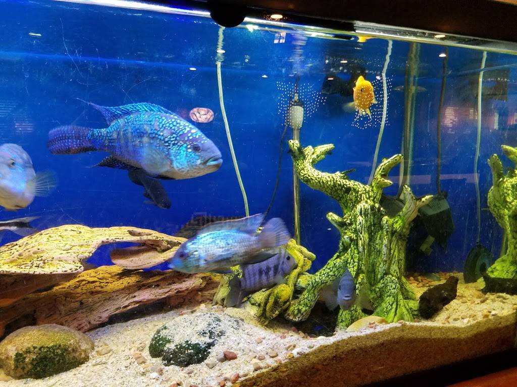 Maza Mediterranean & Turkish Halal Grill | restaurant | 2550 South Rainbow Boulevard #W1, Las Vegas, NV 89146, USA | 7029120050 OR +1 702-912-0050