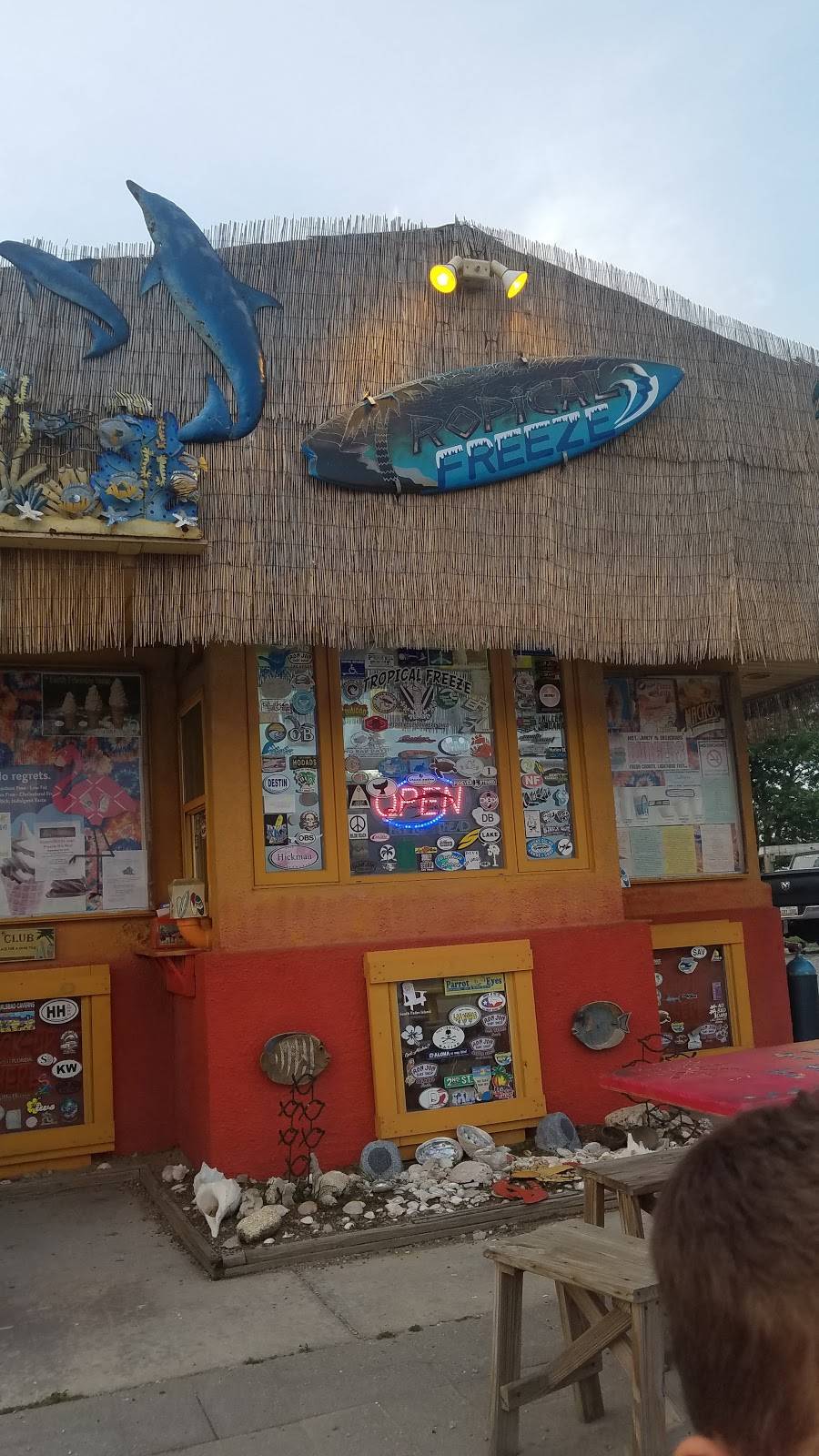 Tropical Freeze | restaurant | 21302 OH-34, Napoleon, OH 43545, USA | 4192675620 OR +1 419-267-5620