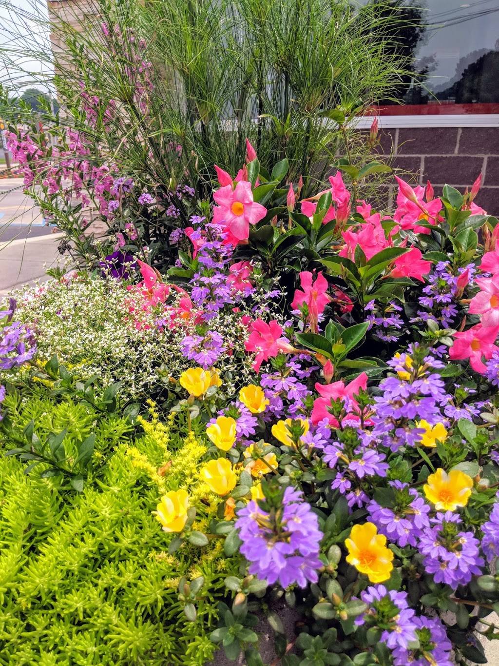 McDonalds | cafe | 149 E, IN-66, Tell City, IN 47586, USA | 8125473444 OR +1 812-547-3444