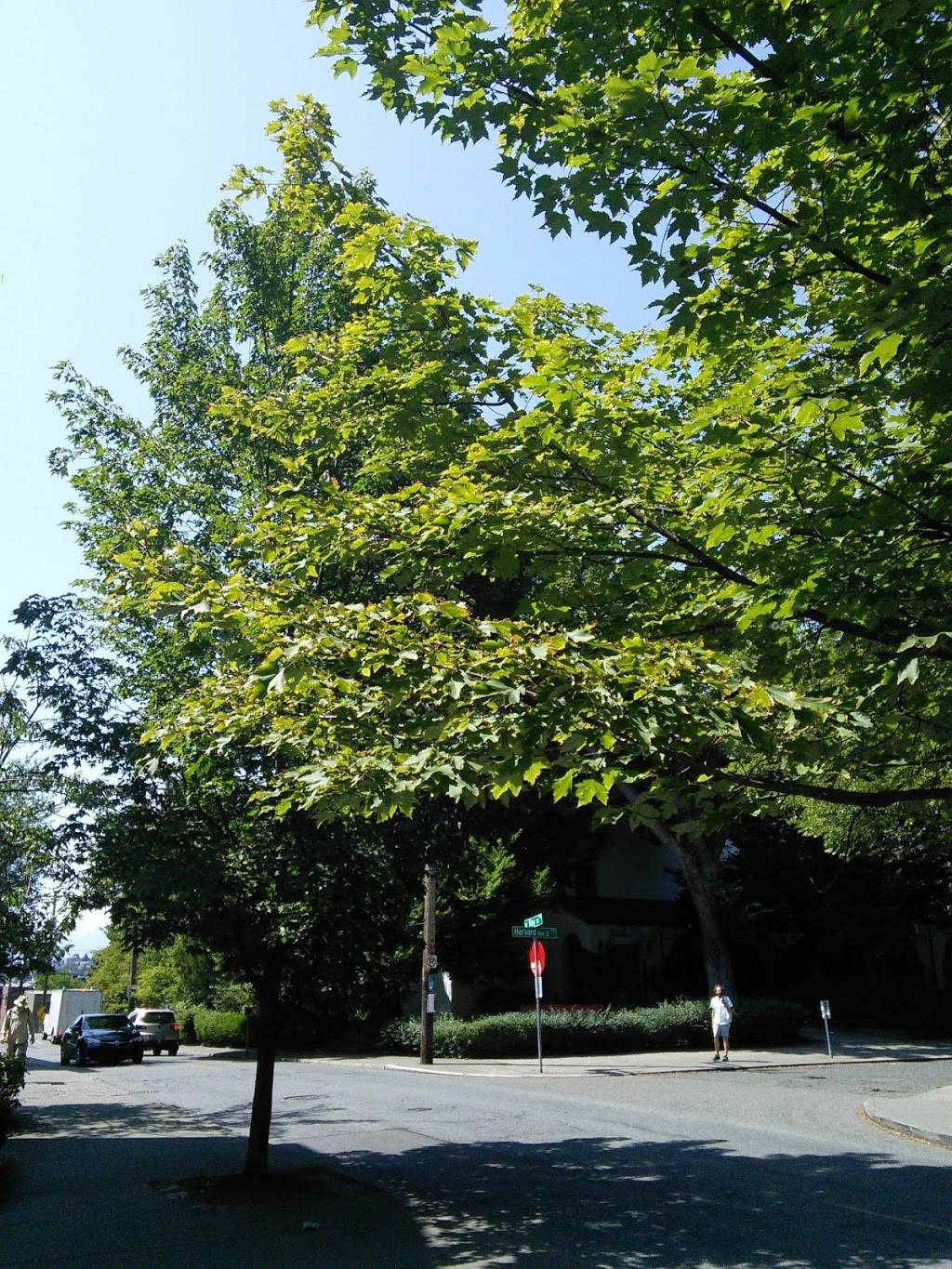 Community Lunch on Capitol Hill | restaurant | 509 10th Ave E, Seattle, WA 98102, USA | 2069722524 OR +1 206-972-2524