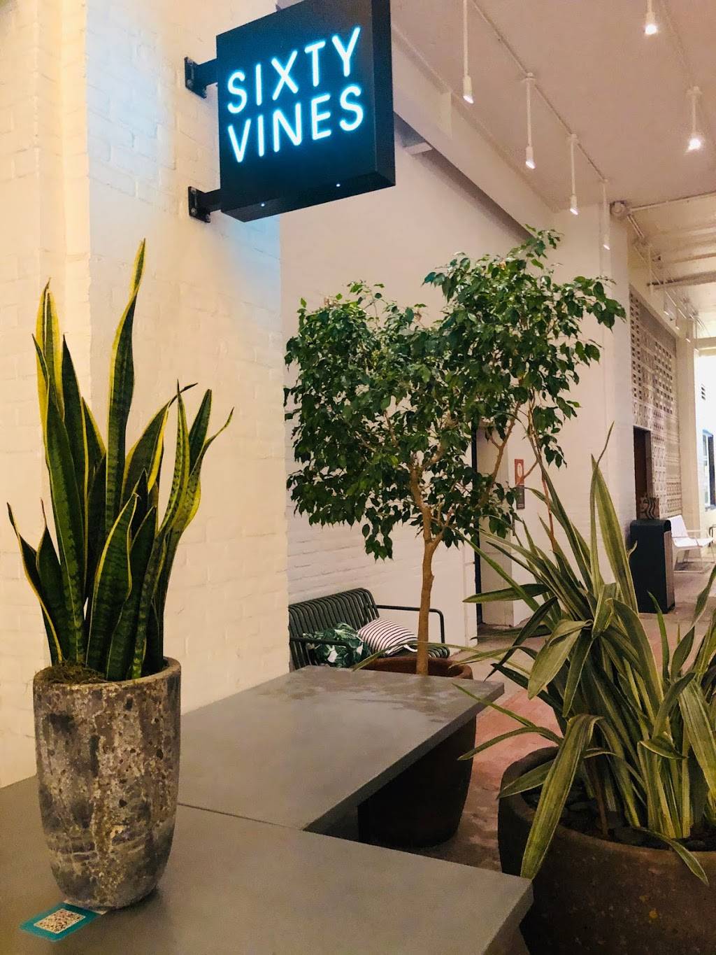 Sixty Vines | restaurant | 2540 University Blvd, Houston, TX 77005, USA | 2818008808 OR +1 281-800-8808