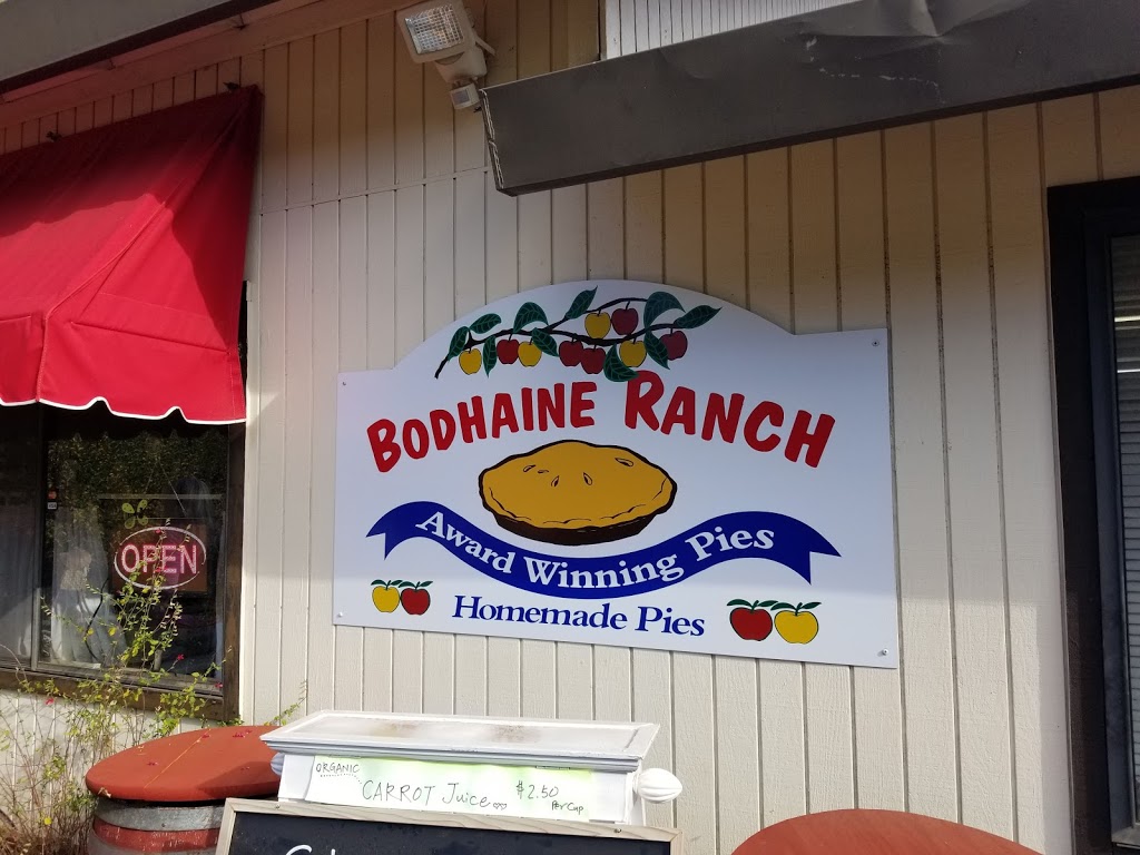 Bodhaines at Drew Bean Farms | bakery | 2315 Cable Rd, Camino, CA 95709, USA | 5306441686 OR +1 530-644-1686