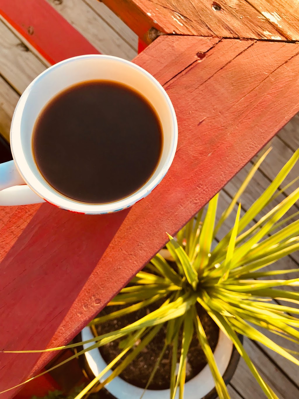 Trixies Coffee Shop | bakery | 19700 TX-105, Montgomery, TX 77356, USA | 4254442700 OR +1 425-444-2700