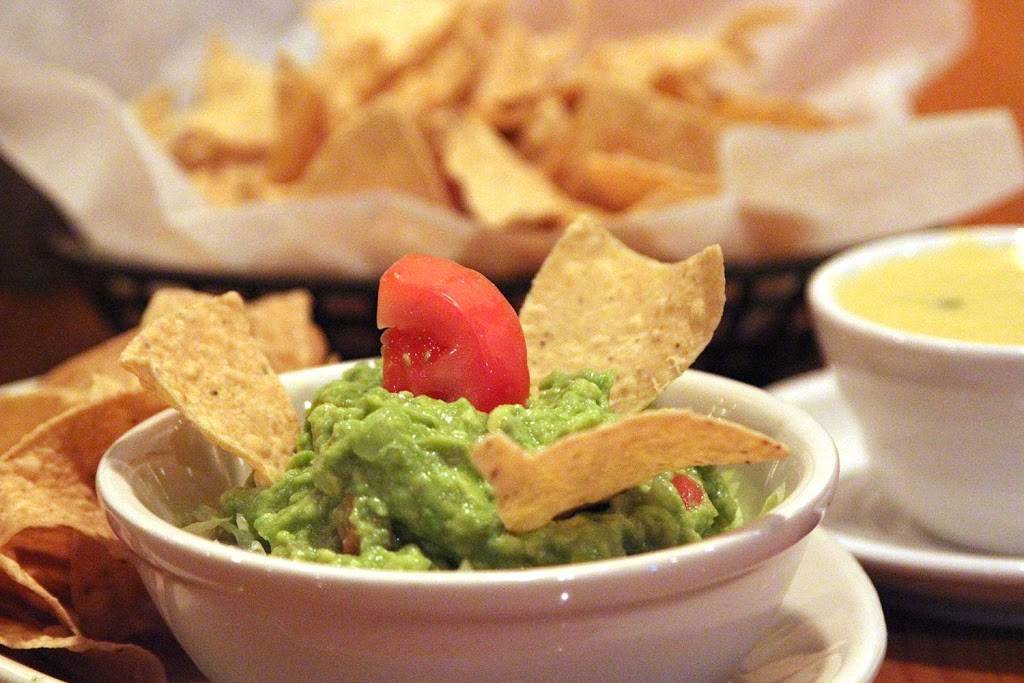 The Grasshopper Mexican Restaurant & Bar | restaurant | 7253 S Tamiami Trail, Sarasota, FL 34231, USA | 9419233688 OR +1 941-923-3688