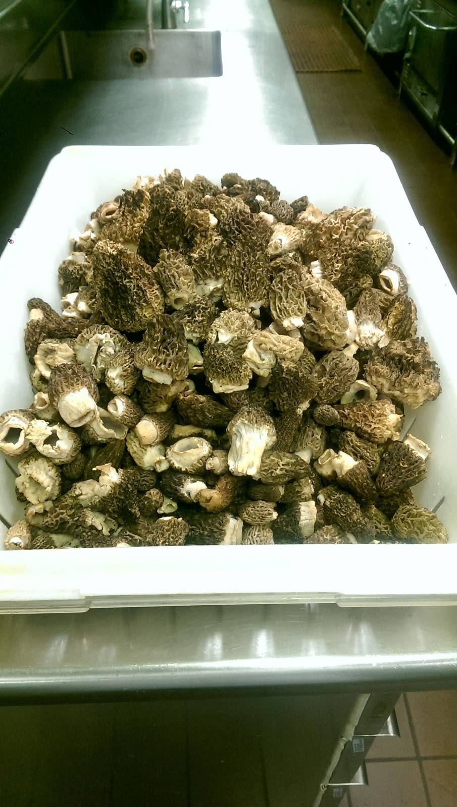 Anthonys Bar | restaurant | 410 Market St, St. Louis, MO 63102, USA | 3142317007 OR +1 314-231-7007