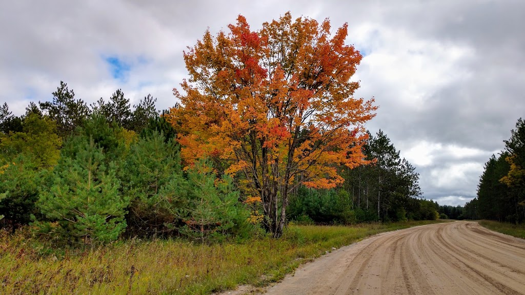 The Party Shoppe on Pickerel Lake | meal takeaway | 1154 N Ellsworth Rd, Petoskey, MI 49770, USA | 2314870734 OR +1 231-487-0734