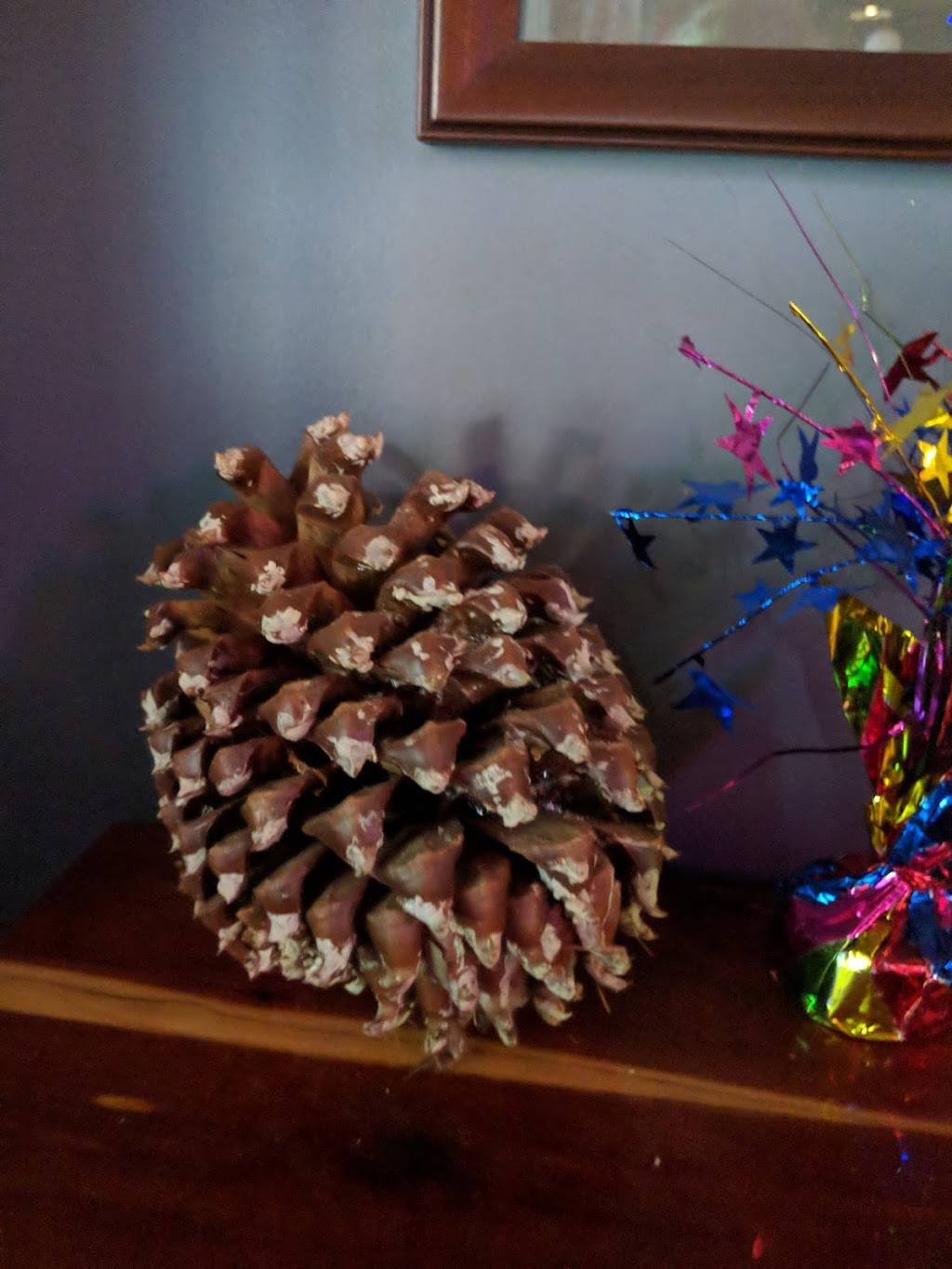 Shake Rag | restaurant | 8902 Rankin Branch Rd, Millington, TN 38053, USA | 9018765255 OR +1 901-876-5255