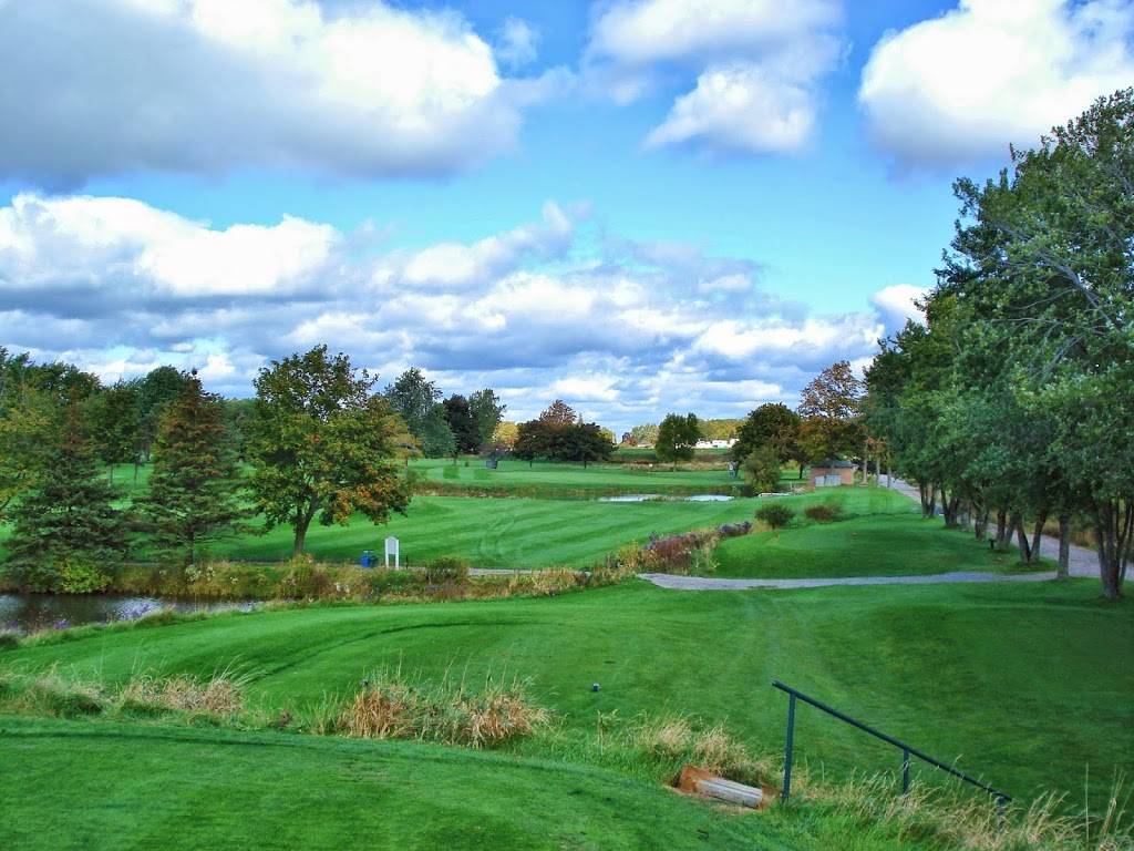 Southern Pines Golf & Country Club | meal takeaway | 8453 Airport Rd E, Mount Hope, ON L0R 1W0, Canada | 9056796308 OR +1 905-679-6308