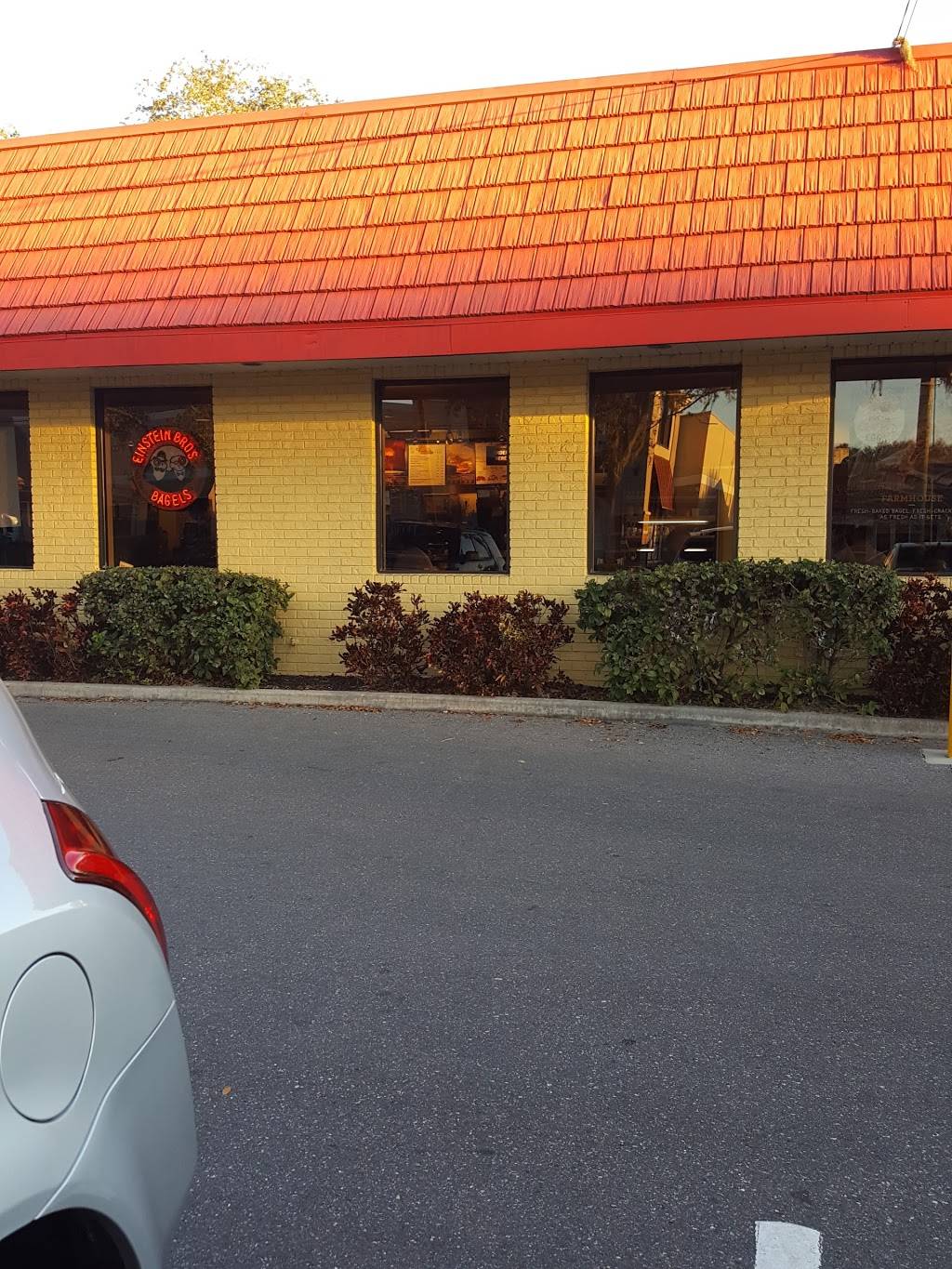Einstein Bros. Bagels | cafe | 619 S Dale Mabry Hwy, Tampa, FL 33609, USA | 8138711074 OR +1 813-871-1074
