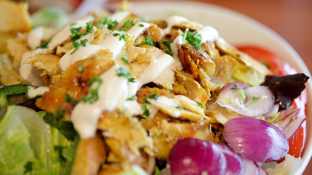 Zabaadi | restaurant | 7052 W Forest Preserve Dr, Norridge, IL 60706, USA | 7086955545 OR +1 708-695-5545