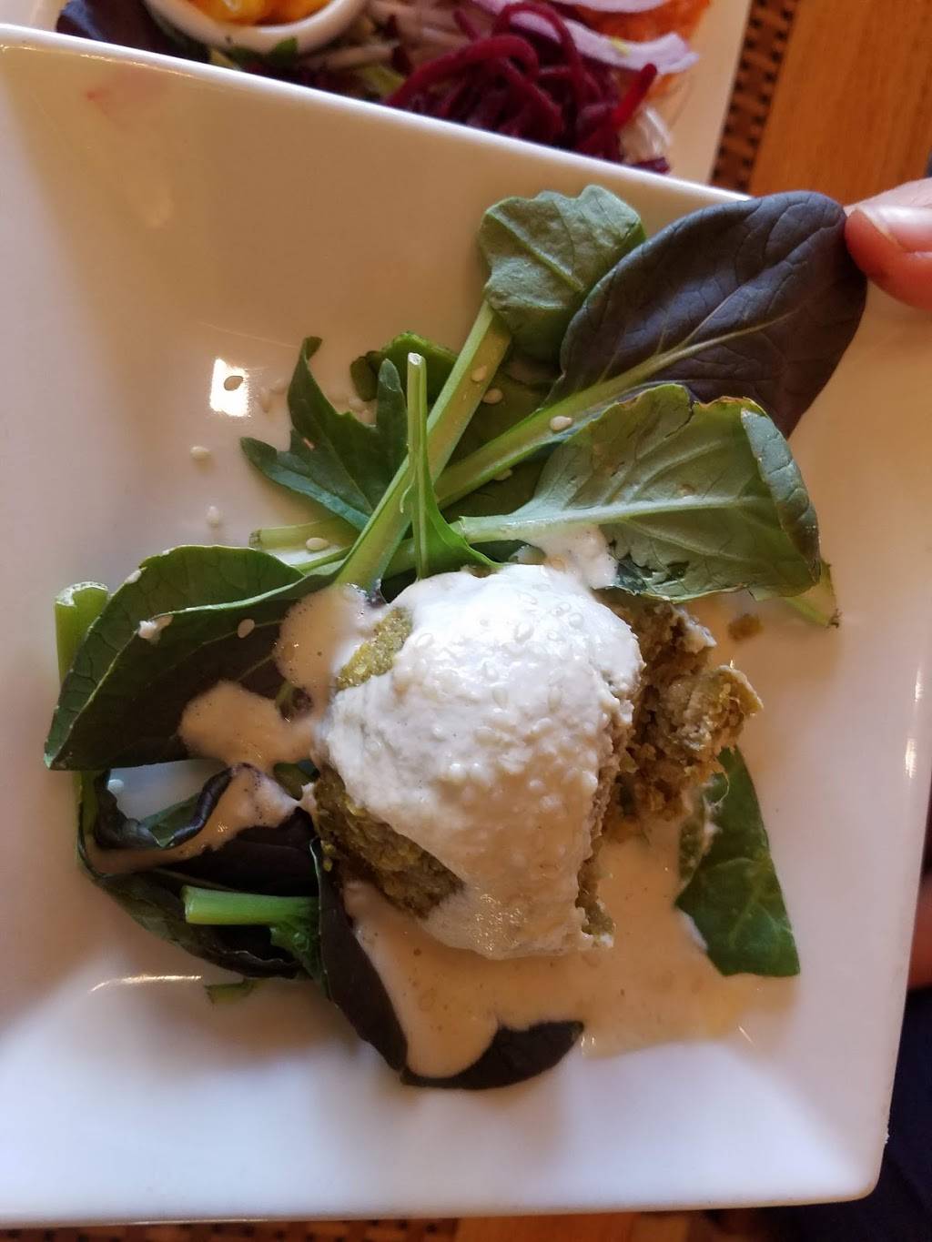 Organic Garden Cafe | restaurant | 294 Cabot St, Beverly, MA 01915, USA | 9789220004 OR +1 978-922-0004