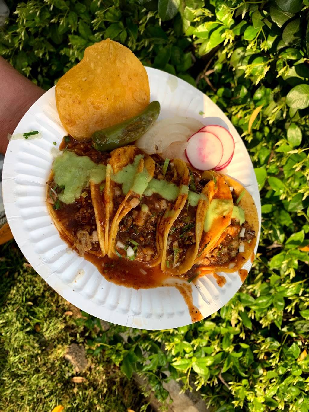 Tacos Arandinos Sylmar | restaurant | Sylmar, CA 91342, USA | 3235524604 OR +1 323-552-4604