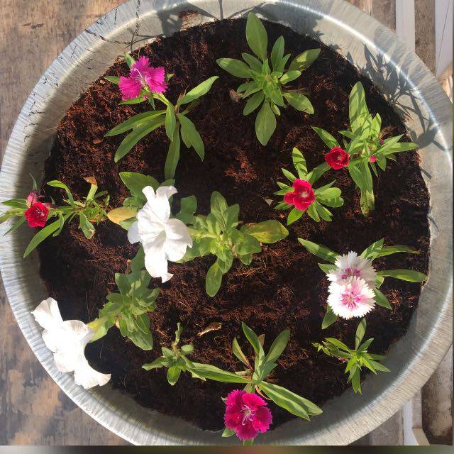 Coney Island | restaurant | 14 Railroad Ave, Middletown, NY 10940, USA | 8453433714 OR +1 845-343-3714