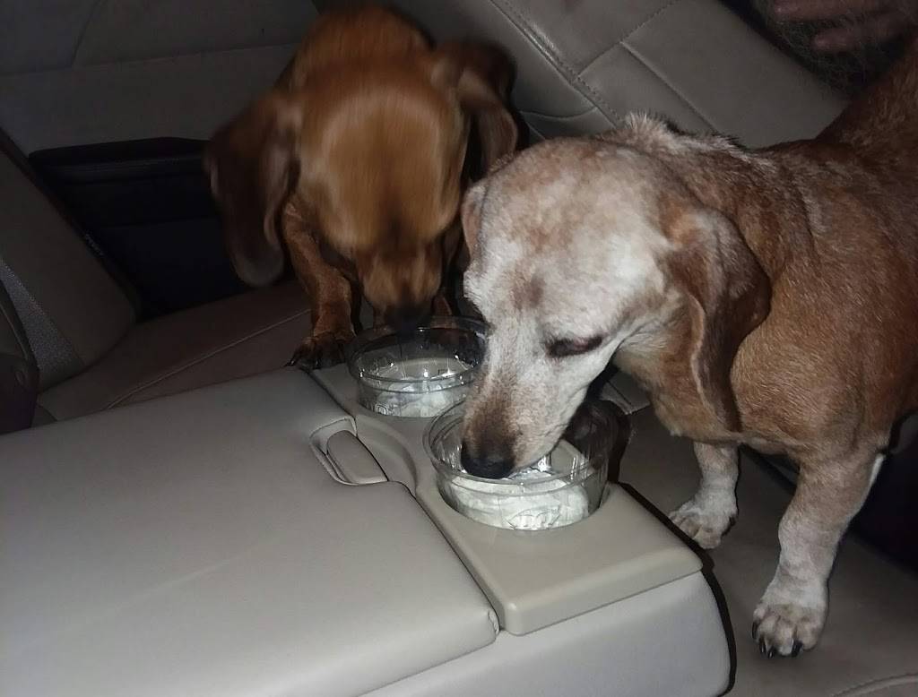 Dairy Queen | restaurant | 121 Carl Perkins Pkwy, Tiptonville, TN 38079, USA | 7312536311 OR +1 731-253-6311