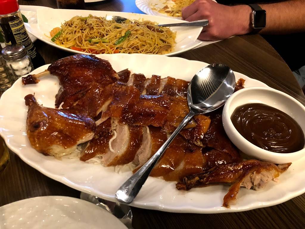 ginger bistro Cape Coral | restaurant | 3180, 2366 Surfside Blvd unit c-101, Cape Coral, FL 33991, USA | 2395588865 OR +1 239-558-8865