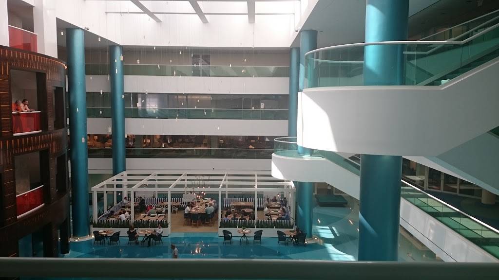 DCOTA CAY Café | cafe | 1855 FL-818, Dania Beach, FL 33004, USA | 9543625512 OR +1 954-362-5512