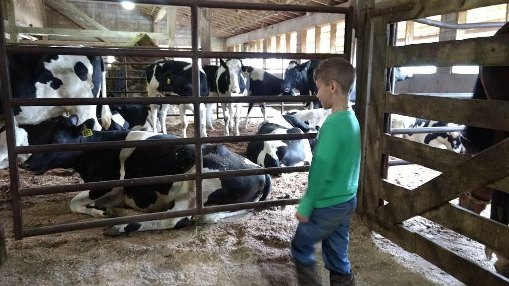 Sugarcreek Stockyard | restaurant | 102 Buckeye St, Sugarcreek, OH 44681, USA | 3308311720 OR +1 330-831-1720