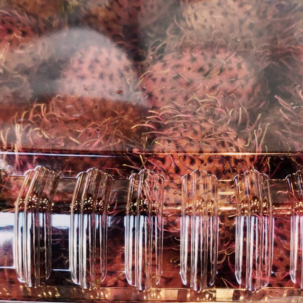 JP Goods Fresh Bakery and Fresh Boba | restaurant | 1336 West Willow Street Suit #105, Long Beach, CA 90810, USA | 5625954331 OR +1 562-595-4331