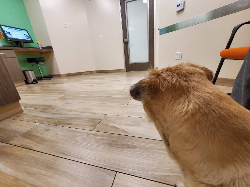 PetPoint Medical Center and Resort | restaurant | 2505 Da Vinci, Irvine, CA 92614, USA | 9495225700 OR +1 949-522-5700