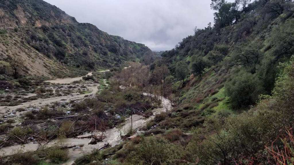 Los Primos | restaurant | 951 N Orange Grove Blvd, Pasadena, CA 91103, USA | 6263040538 OR +1 626-304-0538