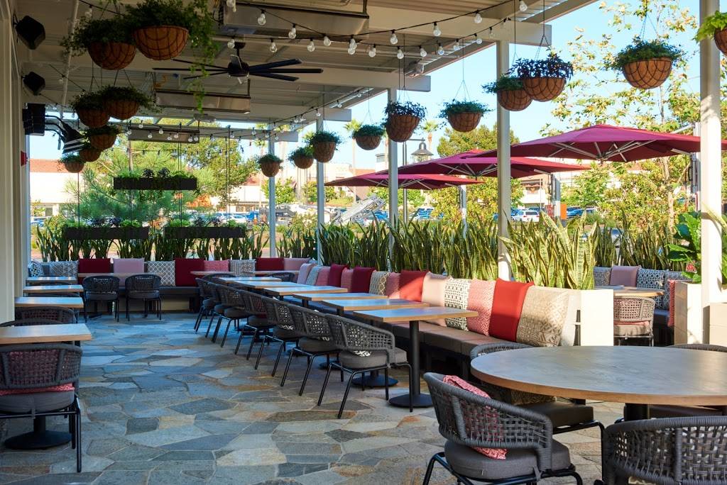 International Smoke | restaurant | 3387 Del Mar Heights Rd #0100, San Diego, CA 92130, USA | 6193314528 OR +1 619-331-4528