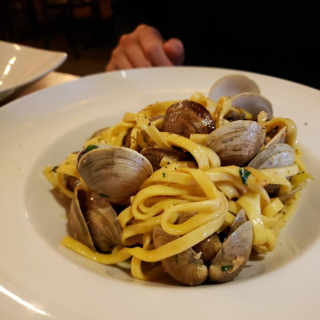 PADELLA - ITALIAN EATERY | restaurant | 1967 Avenue Rd, North York, ON M5M 4A3, Canada | 4165198222 OR +1 416-519-8222