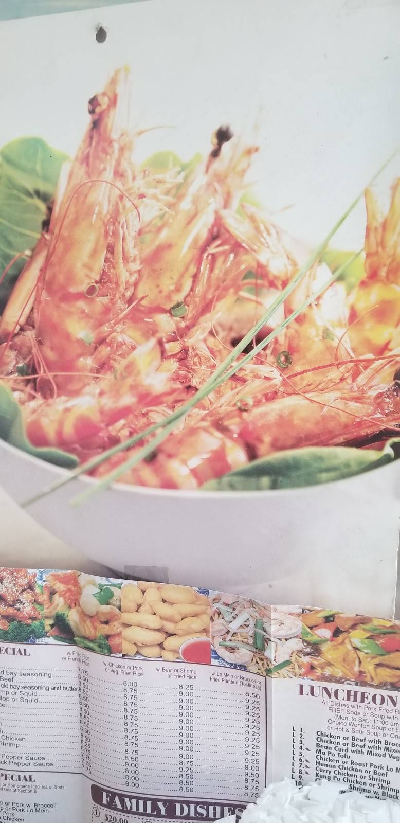 King Wok | restaurant | 14616 Jamaica Ave, Jamaica, NY 11435, USA | 7185700995 OR +1 718-570-0995