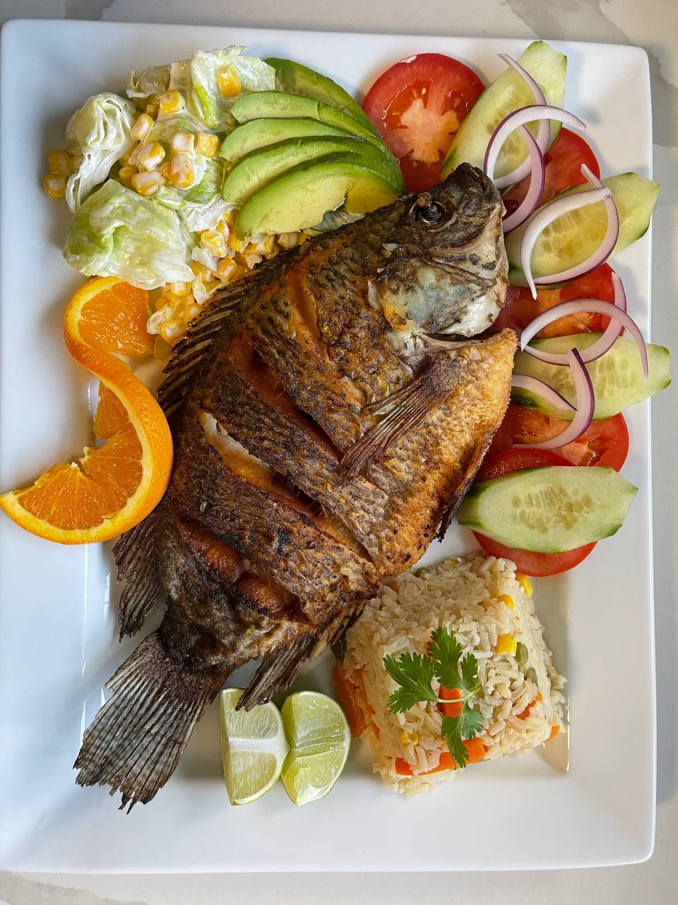 El Mezquite Mexican Restaurant | restaurant | 185 E Army Trail Rd, Glendale Heights, IL 60139, USA | 6302835942 OR +1 630-283-5942