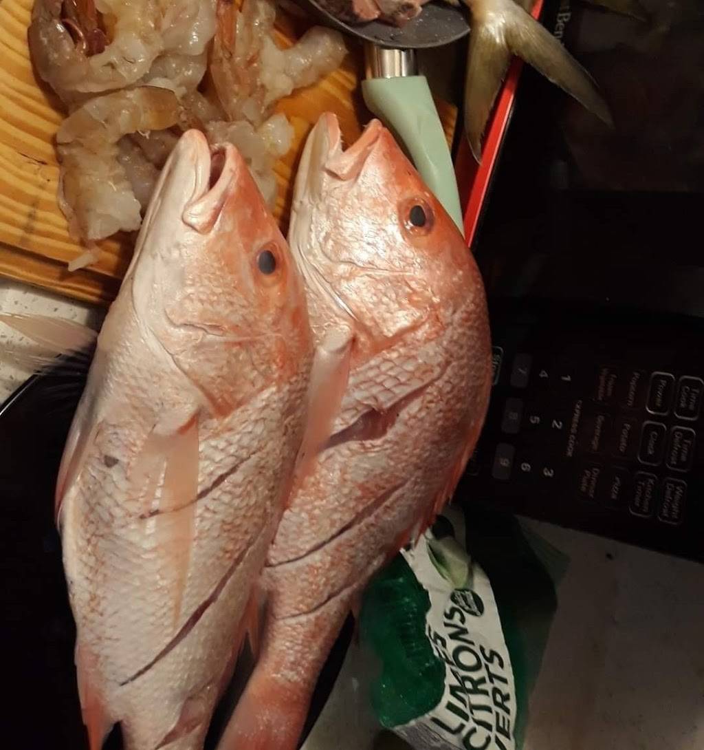 Port Of Brownsville Seafood | restaurant | 3703 W Martin St, San Antonio, TX 78207, USA | 2102339220 OR +1 210-233-9220